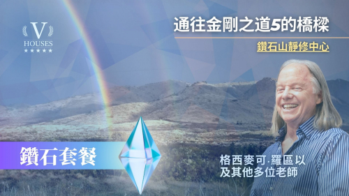 💠 通往鑽石之道的橋樑 5 (鑽石)