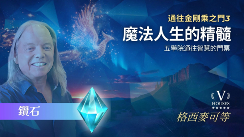 💎  神奇人生的精華: 金剛道之門3 (鑽石)