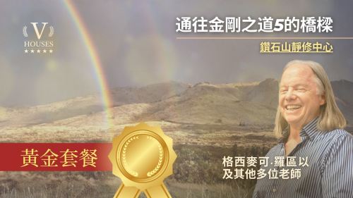 🌟 通往鑽石之道的橋樑 5 (黃金)